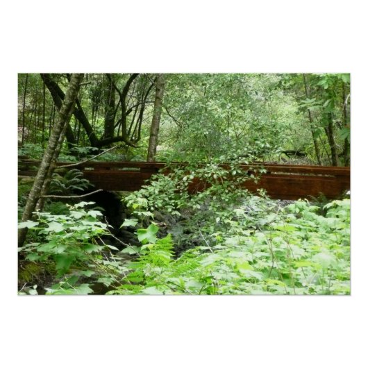 Muir Woods Brücke I Poster (Vorderseite)