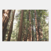 Muir Woods Brücke II Geschenkpapier Set (Vorderseite 2)