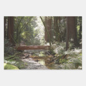 Muir Woods Brücke II Geschenkpapier Set (Vorderseite)