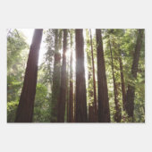 Muir Woods Brücke II Geschenkpapier Set (Vorderseite 3)