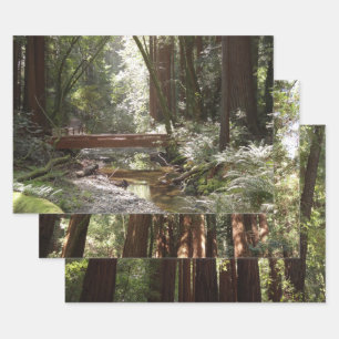 Muir Woods Brücke II Geschenkpapier Set