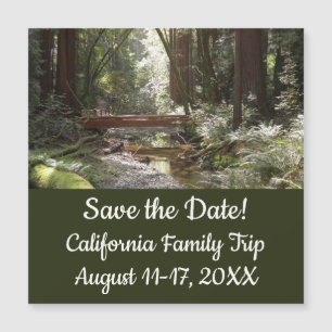 Muir Woods Brücke II Magnetkarte