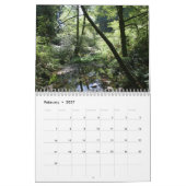 Muir Woods Calendar Kalender (Feb 2027)