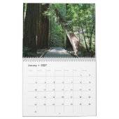 Muir Woods Calendar Kalender (Jan 2027)