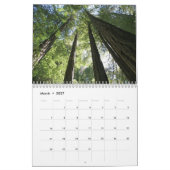 Muir Woods Calendar Kalender (Mär 2027)