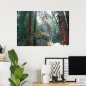 Muir Woods California Poster (Heimbüro)