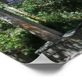 "Muir Woods Entrance" Poster (Ecke)