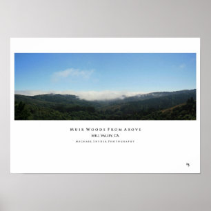"Muir Woods from Oove" Poster