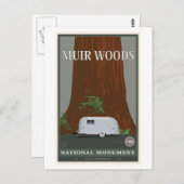 Muir Woods National Monument 1 Postkarte (Vorne/Hinten)