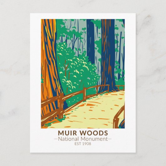 Muir Woods National Monument California Vintag Postkarte (Vorderseite)