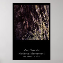 Muir Woods National Monument Color (Dunkel) Poster