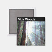 Muir Woods National Monument Magnet (Vorderseite/Rückseite)