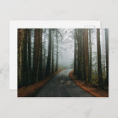 Muir Woods National Monument, Mill Valley, USA Postkarte (Vorne/Hinten)