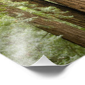 Muir Woods National Monument, Northern Fotodruck (Ecke)