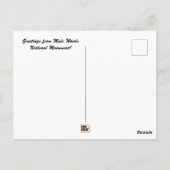 Muir Woods National Monument Postcard Postkarte (Rückseite)