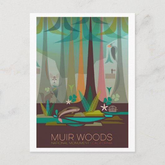 Muir Woods National Monument Postcard Postkarte (Vorderseite)