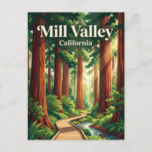 Muir Woods National Monument USA Postkarte