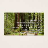 Muir Woods Path I Naturefotografie (Vorderseite)