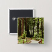Muir Woods Path I Naturefotografie Button (Vorne & Hinten)