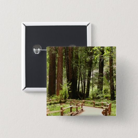 Muir Woods Path I Naturefotografie Button (Vorne & Hinten)