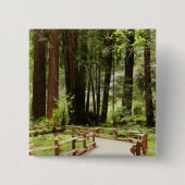 Muir Woods Path I Naturefotografie Button (Vorderseite)