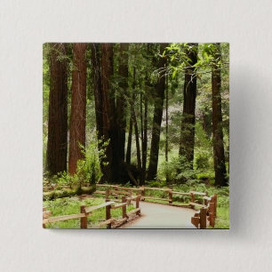 Muir Woods Path I Naturefotografie Button
