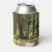 Muir Woods Path I Naturefotografie Dosenkühler (Kanne Rückseite)