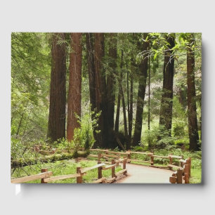 Muir Woods Path I Naturefotografie Gästebuch