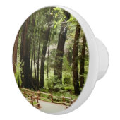 Muir Woods Path I Naturefotografie Keramikknauf (Rechts)