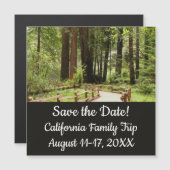 Muir Woods Path I Naturefotografie Magnetkarte (Vorne/Hinten)