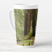 Muir Woods Path I Naturefotografie Milchtasse (Linke Ecke)