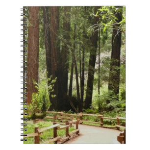Muir Woods Path I Naturefotografie Notizblock