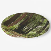 Muir Woods Path I Naturefotografie Pappteller (Schrägansicht)