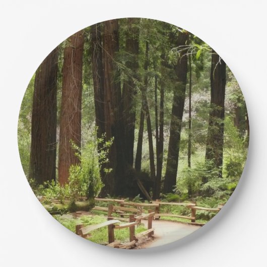 Muir Woods Path I Naturefotografie Pappteller (Vorderseite)