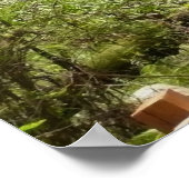 Muir Woods Path I Naturefotografie Poster (Ecke)