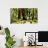 Muir Woods Path I Naturefotografie Poster (Heimbüro)