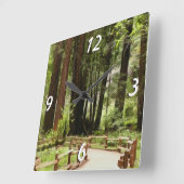 Muir Woods Path I Naturefotografie Quadratische Wanduhr (Winkel)