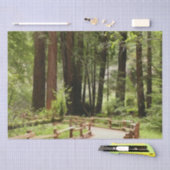 Muir Woods Path I Naturefotografie Seidenpapier (Handwerk)