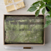 Muir Woods Path I Naturefotografie Seidenpapier (Geschenk)