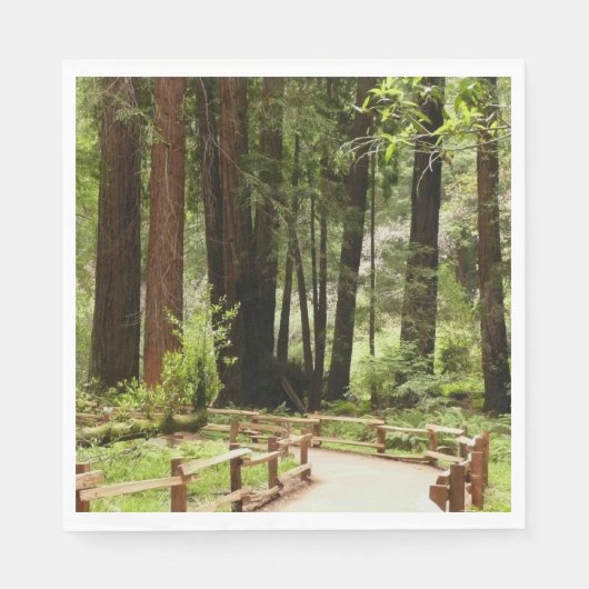 Muir Woods Path I Naturefotografie Serviette (Vorderseite)