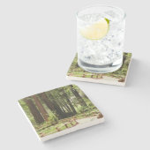 Muir Woods Path I Naturefotografie Steinuntersetzer (Seitenansicht)