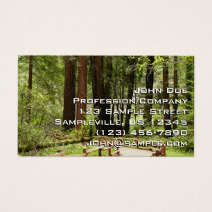 Muir Woods Path I Naturfotografie