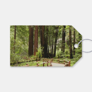 Muir Woods Path I Naturfotografie Geschenkanhänger