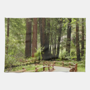 Muir Woods Path I Naturfotografie Geschirrtuch