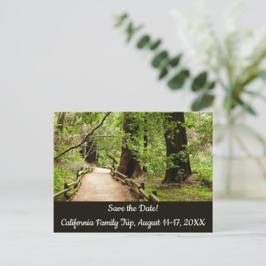 Muir Woods Path II Nature Save the Date Postkarte (Stehend Vorderseite)