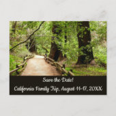 Muir Woods Path II Nature Save the Date Postkarte (Vorderseite)