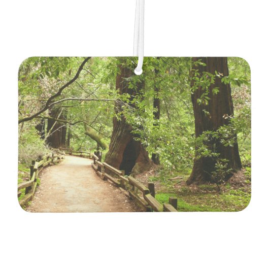 Muir Woods Path II Naturfotografie Autolufterfrischer (Rückseite)