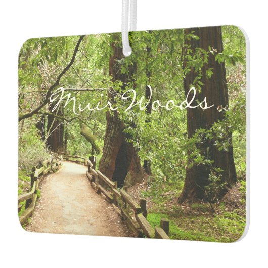 Muir Woods Path II Naturfotografie Autolufterfrischer (Links)