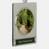 Muir Woods Path II Naturfotografie Banner-Ornament Silber (Rechts)