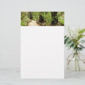 Muir Woods Path II Naturfotografie Briefpapier (Stehend Vorderseite)